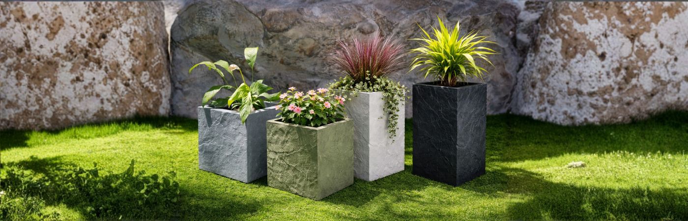 planter banner-1 (2)