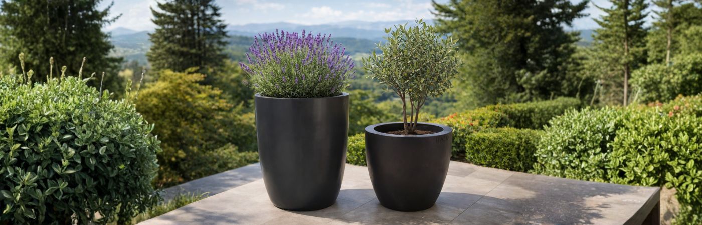 planter banner-3 (1)