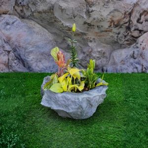 Rock Series